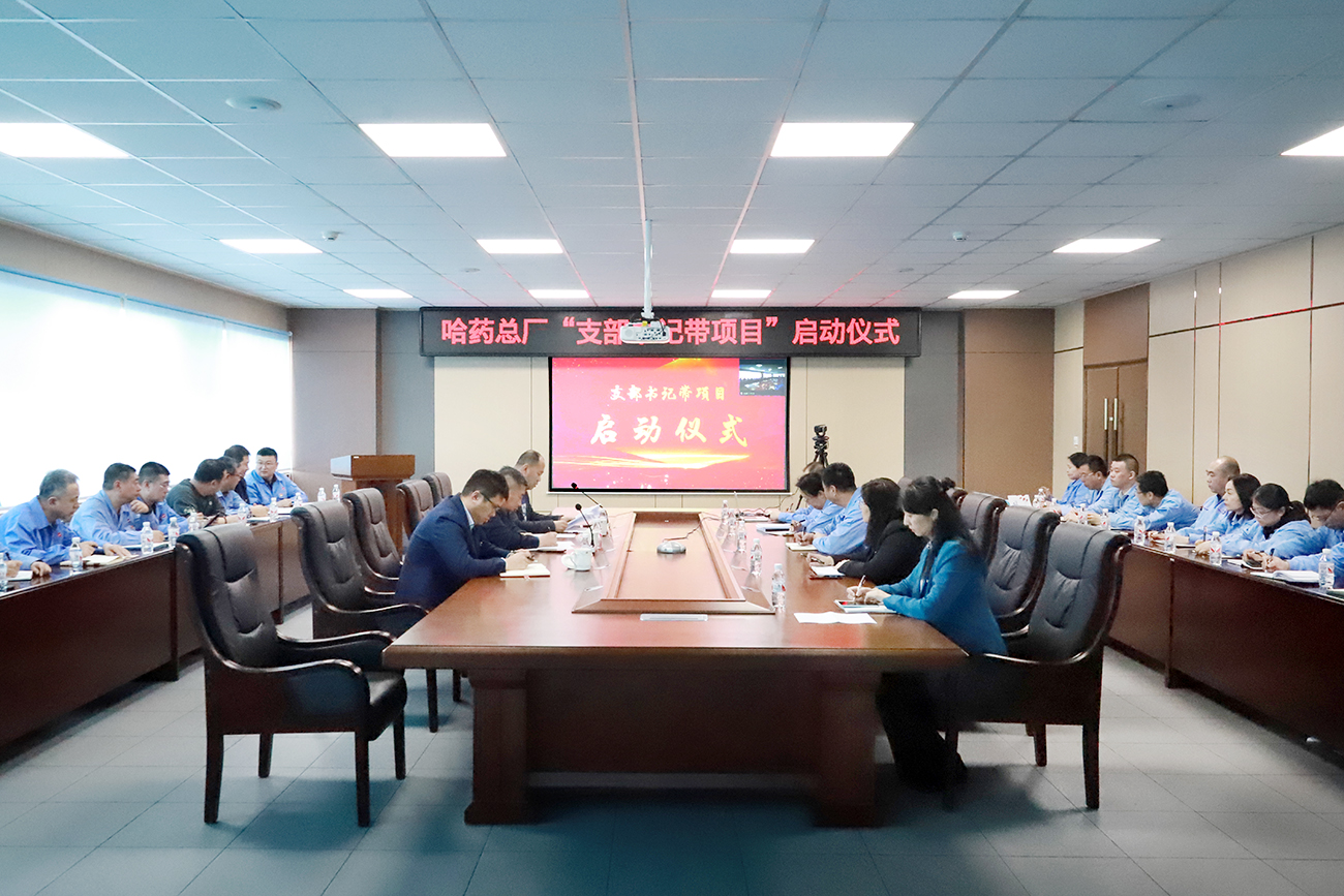 黨建領航&ldquo;加速度&rdquo; 打造發展&ldquo;強引擎&rdquo;&mdash;&mdash;哈藥總廠黨委召開&ldquo;支部書記帶項目&rdquo;啟動儀式